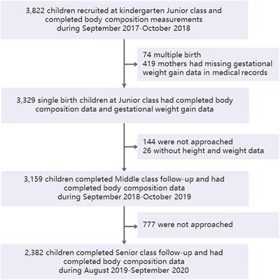 Body Composition in Preschool Children and the Association With Prepregnancy Weight and Gestational Weight Gain: An Ambispective Cohort Study